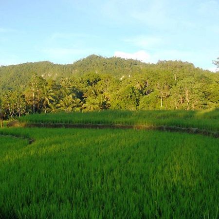 Bohol Paradise Hills Resort And Hotel Garcia Hernandez エクステリア 写真